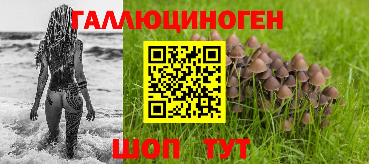 Псилоцибиновые грибы MAGIC MUSHROOMS Урус-Мартан