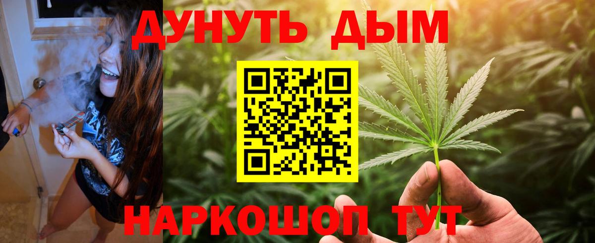 Шишки марихуана гибрид Урус-Мартан